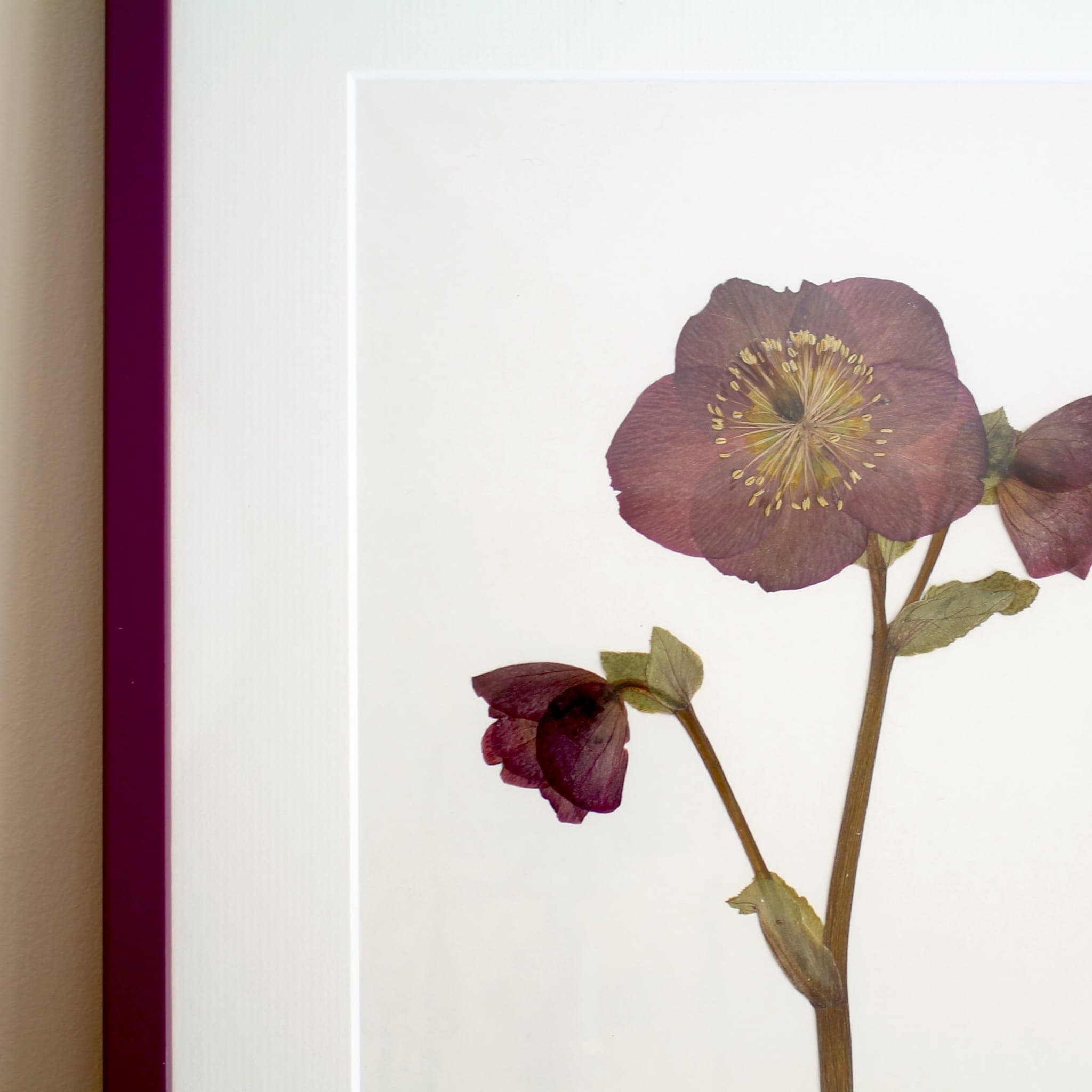 Pressed flowers and leaves arranged in a soft, natural composition