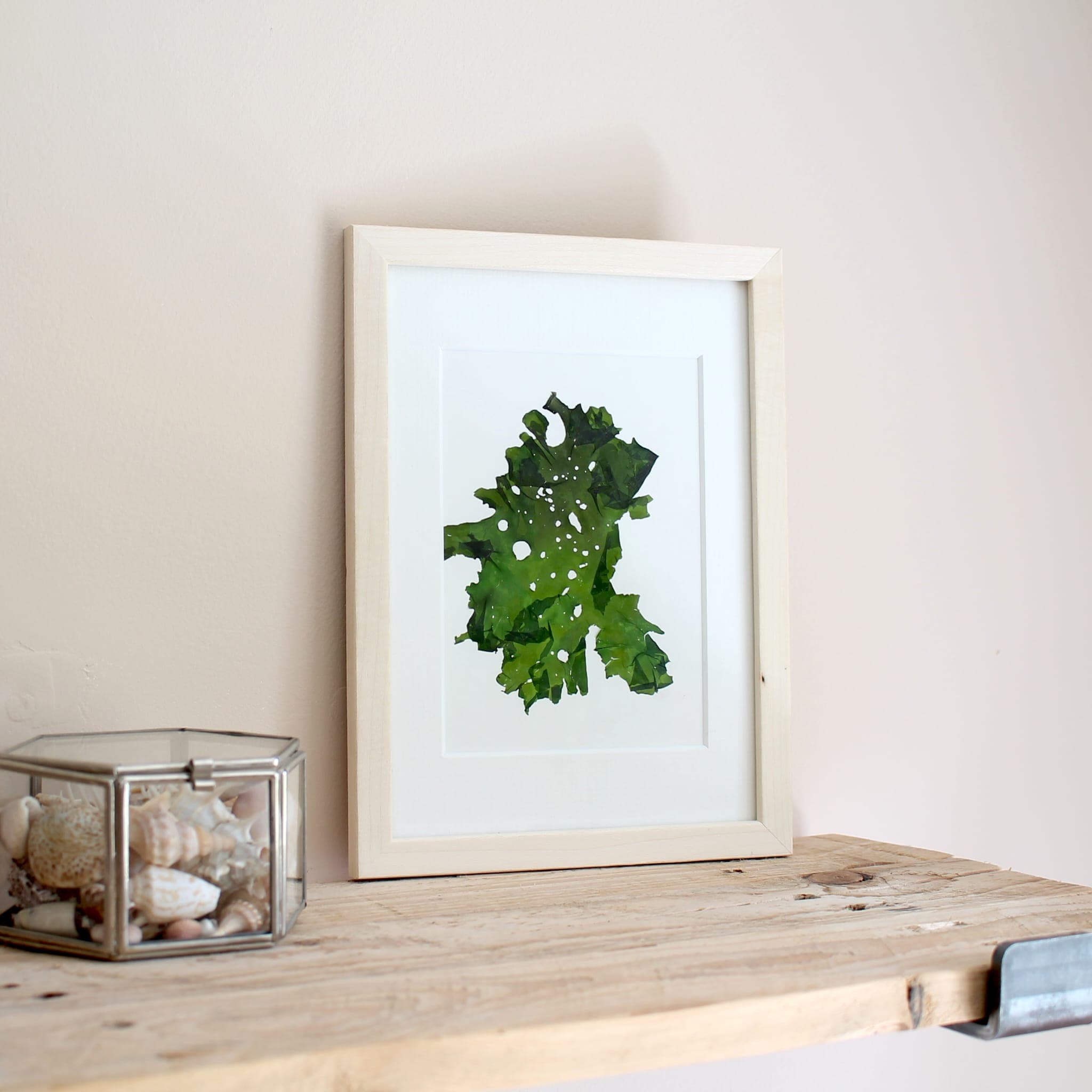 Pressed seaweeds with soft natural tones