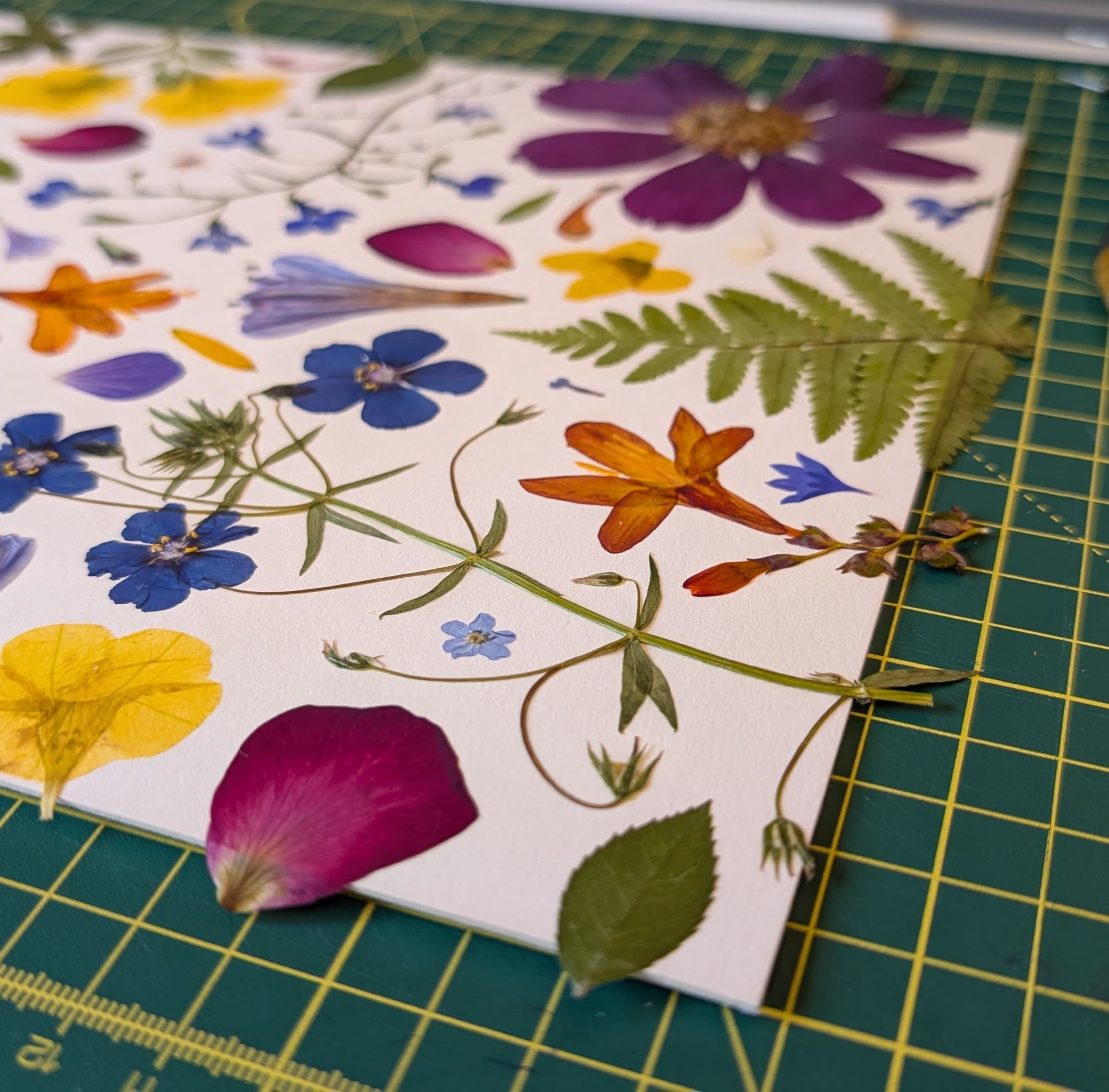 Pressed flower artwork in progress at the FLORA studio